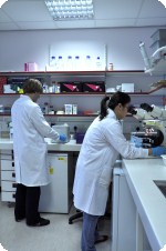 two researchers busy in a lab